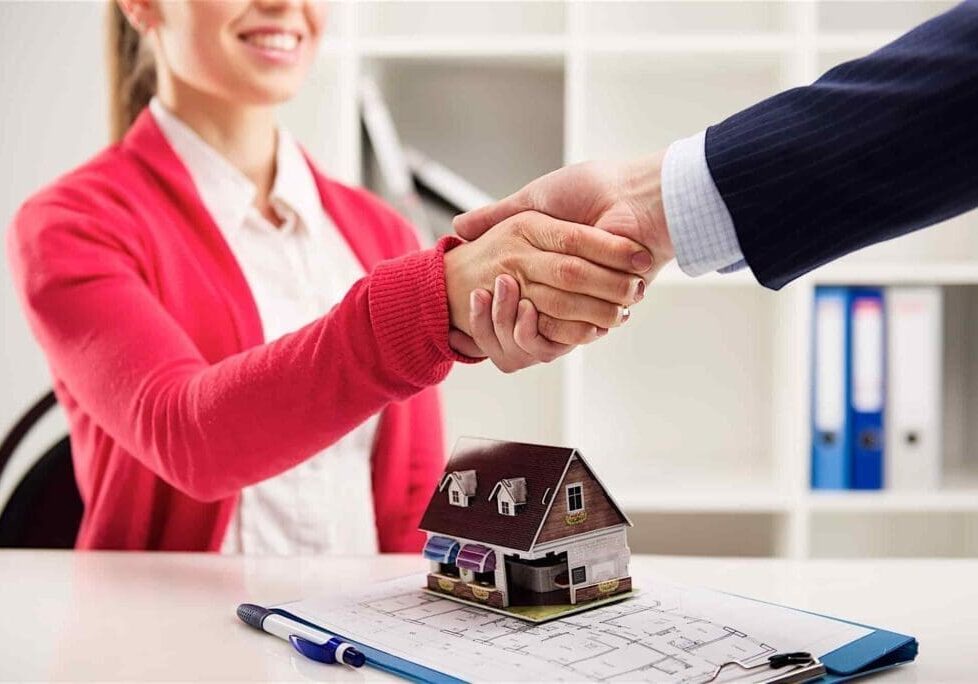 A woman and man shaking hands over a table.